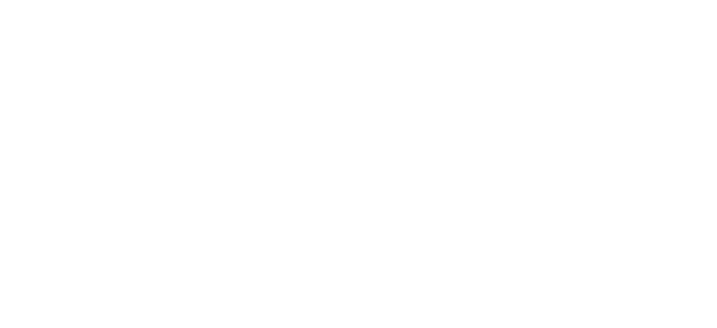 LVI_Leijona